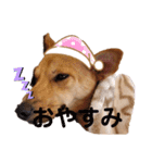 さくよちゃんの1日（個別スタンプ：24）