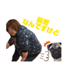喜怒哀楽なパグと変な飼い主（個別スタンプ：7）