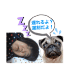 喜怒哀楽なパグと変な飼い主（個別スタンプ：8）