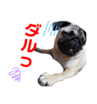 喜怒哀楽なパグと変な飼い主（個別スタンプ：9）