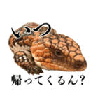 チームたわし（個別スタンプ：3）