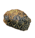 チームたわし（個別スタンプ：7）