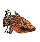チームたわし（個別スタンプ：11）