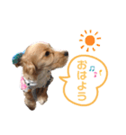 イングリッシュコッカースパニエル クリム（個別スタンプ：4）