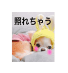我が家のくーちゃん♡（個別スタンプ：3）