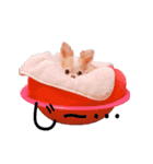 我が家のくーちゃん♡（個別スタンプ：9）