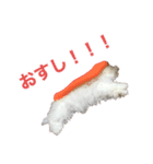 ここちゃんのスタンプ（個別スタンプ：2）