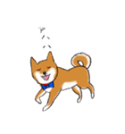 あざとかわいい柴犬コタロウ（個別スタンプ：20）