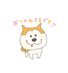 うちんちの柴犬（個別スタンプ：4）