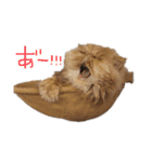 ねこすたんぷその2（個別スタンプ：16）