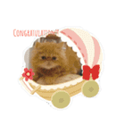 ねこすたんぷその2（個別スタンプ：20）