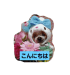 ゆうたん＆あいちゃん（個別スタンプ：2）