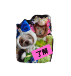 ゆうたん＆あいちゃん（個別スタンプ：4）