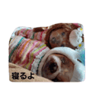 ゆうたん＆あいちゃん（個別スタンプ：8）