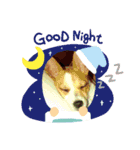 ハル君デコスタンプ（個別スタンプ：6）