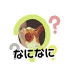 ハル君デコスタンプ（個別スタンプ：14）