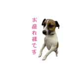 マッキー（個別スタンプ：12）