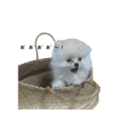 天使くん໒꒱·（個別スタンプ：3）