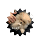 天使くん໒꒱·（個別スタンプ：10）