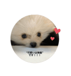 天使くん໒꒱·（個別スタンプ：16）