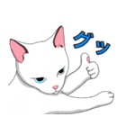 猫の恋人達日常（個別スタンプ：1）