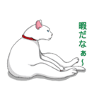 猫の恋人達日常（個別スタンプ：6）