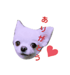 ソラちゃーん！（個別スタンプ：6）