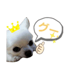 ソラちゃーん！（個別スタンプ：10）