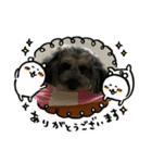 ひめぷー3（個別スタンプ：4）