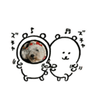ひめぷー3（個別スタンプ：5）