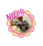 ひめぷー3（個別スタンプ：8）