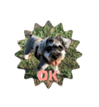 愛犬まる子（個別スタンプ：2）