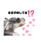 愛犬まる子（個別スタンプ：7）