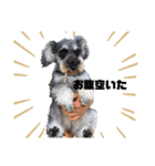 愛犬まる子（個別スタンプ：8）