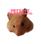 ハムスターのあべちゃん（個別スタンプ：3）