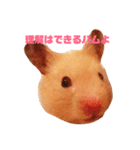 ハムスターのあべちゃん（個別スタンプ：7）