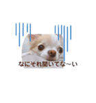 わんこちゃんたち♥（個別スタンプ：2）