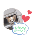 わんこちゃんたち♥（個別スタンプ：8）