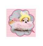 わんこちゃんたち♥（個別スタンプ：9）
