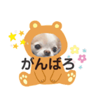 わんこちゃんたち♥（個別スタンプ：14）