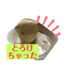 とことん自炊スピーキング（個別スタンプ：23）