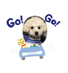 まるへいくんスタンプ（個別スタンプ：5）