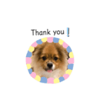 小太郎すたんぷ1（個別スタンプ：5）