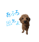 ライトスタンプ①と②（個別スタンプ：6）