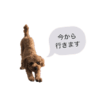 ライトスタンプ①と②（個別スタンプ：10）