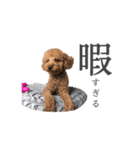 ライトスタンプ①と②（個別スタンプ：11）