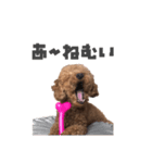 ライトスタンプ①と②（個別スタンプ：12）
