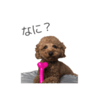 ライトスタンプ①と②（個別スタンプ：16）