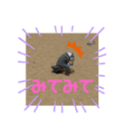あおちやん（個別スタンプ：11）
