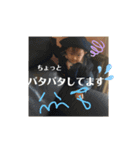 あおちやん（個別スタンプ：12）